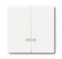 Busch-Jaeger Taste_2t Symbol Dimmer matt future linear 6545-884 studioweiß