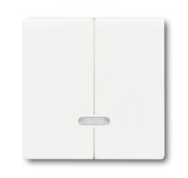 Busch-Jaeger Taste_2t Symbol Dimmer matt future linear 6545-884 studioweiß