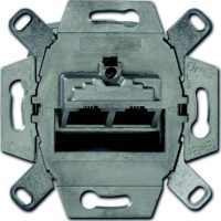 Busch-Jaeger UAE-Doseneinsatz Cat. 6, 2fach 0218/12-101