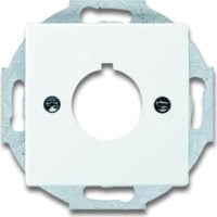 Busch-Jaeger Zentralscheibe dav/sws 22,5mm Befehlsgeräte 2533-84