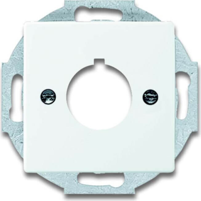 Busch-Jaeger Busch-Jaeger Zentralscheibe dav/sws 22,5mm Befehlsgeräte 2533-84