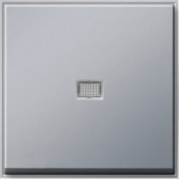 GIRA 029065 Wippe Kontrollfenster TX_44 WG UP Farbe Alu