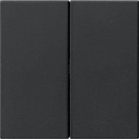 Gira Wippe 2-fach Schwarz 5370005