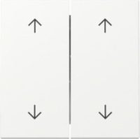 GIRA 329727 Wippe 2fach Pfeile System 55 Reinweiß seidenmatt