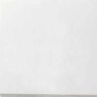Gira Wippschalter reinweiß Wechsel 0916112