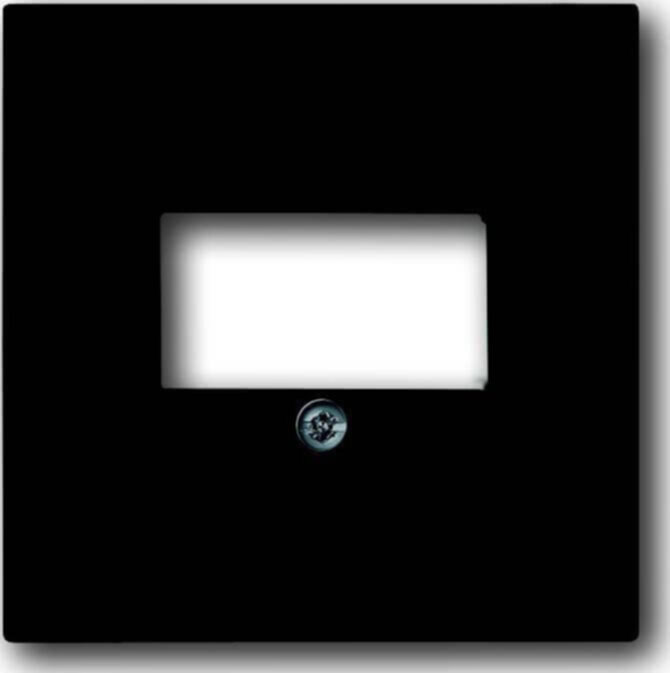 Busch-Jaeger Busch-Jaeger Zentralscheibe anthrazit für UAE/TAE/LS 1766-81