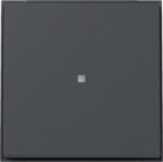Gira 329067 Wippe Kontrollfenster TX_44 WG Unterputz Anthrazit