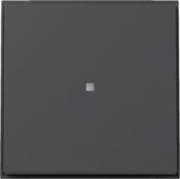 GIRA 329067 Wippe Kontrollfenster TX_44 WG UP Anthrazit