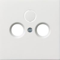 Gira Zentralplatte Antenne reinweiß-glänzend 0869112