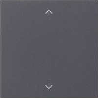 Gira Wippe 1-fach Anthrazit 538928