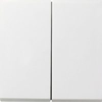 Gira Tast-Wechs.Wechs.schalter rws/gl 0128112