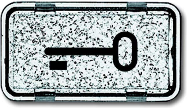 Busch-Jaeger Busch-Jaeger Tastersymbol Schlüssel 2622 TR-101
