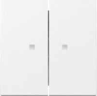 GIRA 363103 Wippe 2fach Kontrollfenster System 55 Reinweiß glänzend