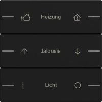 Gira Wippenset 3-fach indiv. Tastsensor Schwarz 5763005