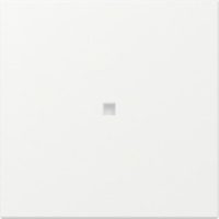 GIRA 349027 Wippe gerade Kontrollfenster System 55 Reinweiß seidenmatt