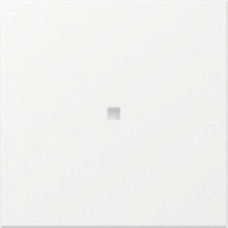 Gira GIRA 349027 Wippe gerade Kontrollfenster System 55 Reinweiß seidenmatt