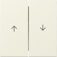 GIRA 329401 Wippe 2fach Pfeil System 55 Cremeweiß glänzend