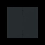 Busch-Jaeger Taste_2t Symbol Dimmer schwarz 6736 FoH-45M matt