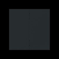 Busch-Jaeger Taste_2t Symbol Dimmer schwarz 6736 FoH-45M matt