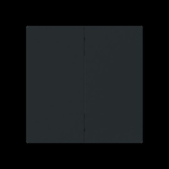 Busch-Jaeger Taste_2t Symbol Dimmer schwarz 6736 FoH-45M matt