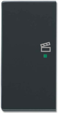 Busch-Jaeger Wippe 2-f li Symbol Szene anthrazit 6233-21-81