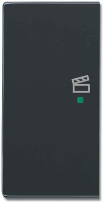 Busch-Jaeger Busch-Jaeger Wippe 2-f li Symbol Szene anthrazit 6233-21-81