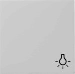 Gira Wippe Symbol Licht grau 0285015