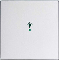Busch-Jaeger Wippe 1-fach, Symbol Licht Aluminium-Silber 6231-10-83
