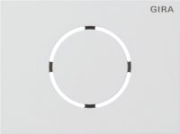 Gira Front Türstationsmodul verkehrsweiß (lackiert) 5579902