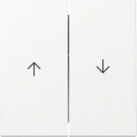 GIRA 329427 Wippe 2fach Pfeil System 55 Reinweiß seidenmatt