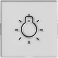 GIRA 321600 Wippe+BSF+Symbol Licht groß tastbar System 55 Farbneutral