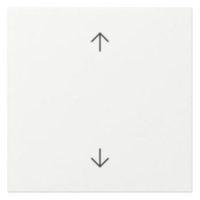 GIRA Wippe 1t Schalter reinweiß Pfeile System 55 361603