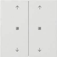 Gira Taster Wippe KNX, 2fach Pfeile ws 5174112