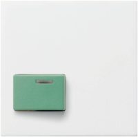 Gira Abeckung f. Abstelltaster LED gn rw mt 024627