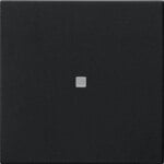 Gira Wippe 1-fach Schwarz 5371005