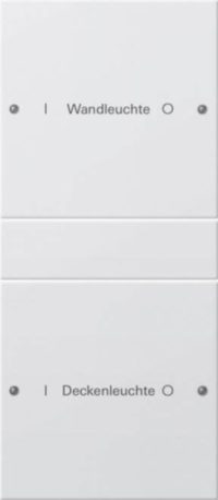 Gira Wippenset 2-fach beschr. Sys 55 reinweiß 220227