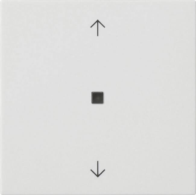 Gira Gira Wippe 1-fach Reinweiß 538827