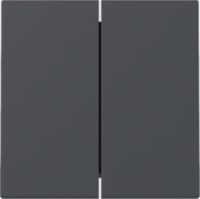 GIRA 329528 Wippe 2fach System 55 Anthrazit