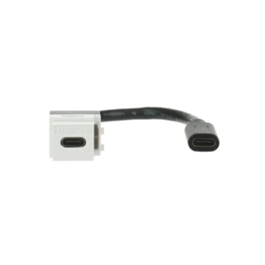 Busch-Jaeger Busch-Jaeger Einsatz USB 1-fach alpinweiß Klemmbef 0229/12 ohne Beschriftungsfeld
