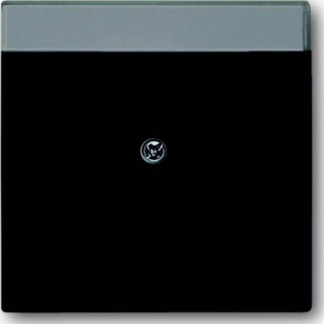 Busch-Jaeger Busch-Jaeger Zentralscheibe schwarz matt Mod Jack,2Ö, Beschri. 1800-885