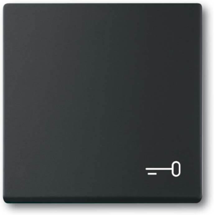 Busch-Jaeger Busch-Jaeger Wippe mit Aufdruck schwarz matt 2520 TR-885