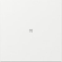 GIRA 349003 Wippe gerade Kontrollfenster System 55 Reinweiß glänzend