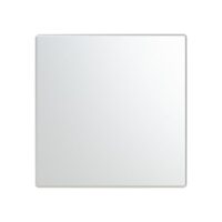 Busch-Jaeger Tastwippe KNX free@home Kunststoff LFW/A.1.63.11-866 Edelstahl Thermopl 1-fach
