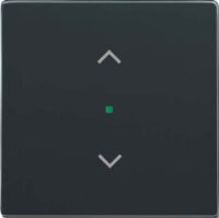 Busch-Jaeger Wippe 1-f Symbol Jalousie anthrazit 6232-10-81