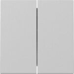 Gira 3295015 Wippe 2-fach System 55 Grau matt (lackiert)