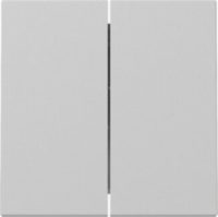 GIRA 3295015 Wippe 2fach System 55 Grau matt (lackiert)