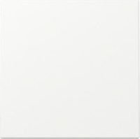 GIRA 329627 Wippe System 55 Reinweiß seidenmatt