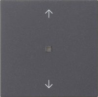 Gira Wippe 1-fach Anthrazit 538828