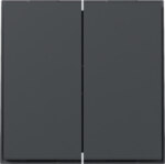 Gira 349567 Wippe 2-fach gerade TX_44 Anthrazit