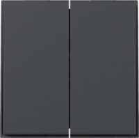 GIRA 349567 Wippe 2fach gerade TX_44 Anthrazit